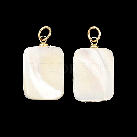 Natural Trochid Shell/Trochus Shell Pendans PALLOY-JF05925-1