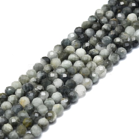 Natural Hawk's Eye Beads Strands G-P457-A03-06-1
