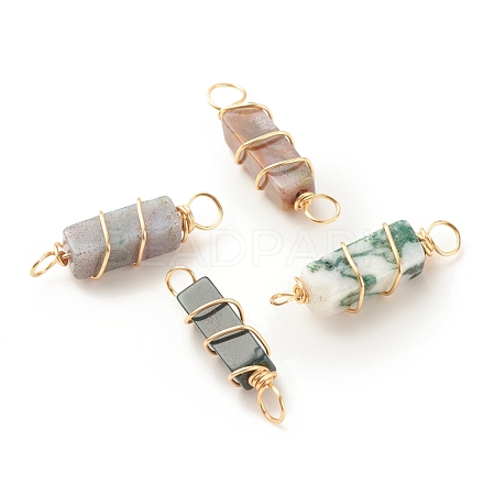 Natural Indian Agate Connector Charms PALLOY-JF01580-02-1