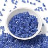 Glass Seed Beads X1-SEED-H002-F-1114-3
