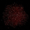 Luminous Glass Seed Beads SEED-A033-07J-5