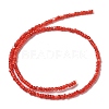 Natural Freshwater Shell Beads Strands SHEL-P017-01B-07-2