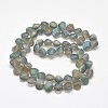 Frosted Electroplate Glass Shell Beads Strands EGLA-M002-B02-2