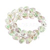 Handmade Transparent Lampwork Beads BLOW-D300-07C-2