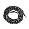 Natural Eagle Eye Stone Beads Strands G-RM250101-E6-5