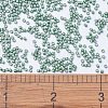 MIYUKI Delica Beads X-SEED-J020-DB1171-4