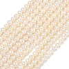 Natural Cultured Freshwater Pearl Beads Strands PEAR-L034-06D-2