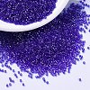 MIYUKI Delica Beads SEED-X0054-DB1896-1
