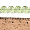 Baking Paint Transparent Glass Beads Strands GL-CBA2ED2-04G-4