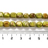 Natural Dolomite Beads Strands G-F765-L01-01-5