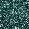 Glass Bugle Beads SEED-S032-08A-51A-3