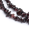 Natural Garnet Beads Strands G-P406-35-2
