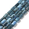 Natural Apatite Beads Strands G-N327-06-27-1