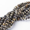 Natural Dalmatian Jasper Beads Strands GSR6mmC004-2