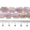 Natural Kunzite Beads Strands G-N327-06-36-5