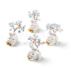 Natural Aquamarine Tree Display Decorations DJEW-E007-01RC-02-1