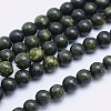Natural Serpentine/Green Lace Stone Beads Strands G-P345-01-6mm-1
