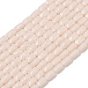 Opaque Glass Beads Strands GLAA-Z018-D18-1