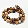 Natural Petrified Wood Round Bead Strands G-F266-08-10mm-2