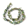 Natural Freshwater Shell Beads Strands BSHE-H018-07C-2