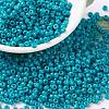 MIYUKI Round Rocailles Beads X-SEED-G008-RR4483-1
