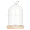 Bird Glass Dome Cover AJEW-WH0323-79-1