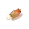6Pcs Natural Peacock Agate(Dyed & Heated) Pendants PALLOY-JF04532-03-5