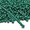 TOHO 6/0 Round Beads SEED-TR06-0055D-2