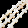 Natural Freshwater Shell Beads Strands BSHE-G034-26-1