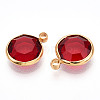 K9 Glass Charms X1-GLAA-T023-37A-04-2