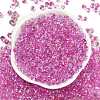 6/0 Spray Paint Fringe Glass Seed Beads SEED-H003-11J-3