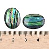 Natural Paua Shell Cabochons SSHEL-I026-20A-3