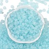 Transparent Colours Glass Seed Beads X1-SEED-P008-01B-01-3
