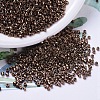 MIYUKI Delica Beads SEED-X0054-DB0460-1
