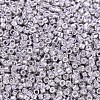 MIYUKI Delica Beads SEED-X0054-DB0429-2