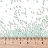 TOHO Round Seed Beads SEED-TR11-PF2118-3