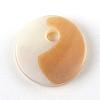 Sea Shell Charms SSHEL-S247-31-2