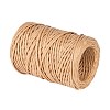 Handmade Iron Wire Paper Rattan OCOR-WH0017-02-2