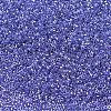 MIYUKI Delica Beads SEED-J020-DB0243-2
