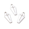 Alloy Enamel Pendants X-ENAM-H039-10P-4