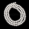 Round Shell Pearl Bead Strands BSHE-L011-4mm-A013A-4