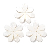 Natural Freshwater Shell Pendants SHEL-D082-08A-1