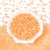Glass Seed Beads X-SEED-N007-27E-2