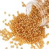 TOHO 8/0 Round Beads X-SEED-TR08-0022B-1