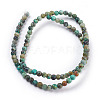 Natural African Turquoise(Jasper) Beads Strands TURQ-G037-4mm-2