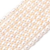 Natural Cultured Freshwater Pearl Beads Strands PEAR-F020-01B-2