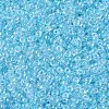 MIYUKI Round Rocailles Beads X-SEED-G007-RR0269-3