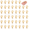 PVD Vacuum Plating 304 Stainless Steel Lobster Claw Clasps STAS-UN0018-95B-G-1