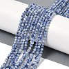 Natural Blue Spot Jasper Beads Strands G-A252-A02-02-2