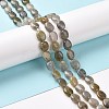 Natural Labradorite Beads Strands G-C238-37-2